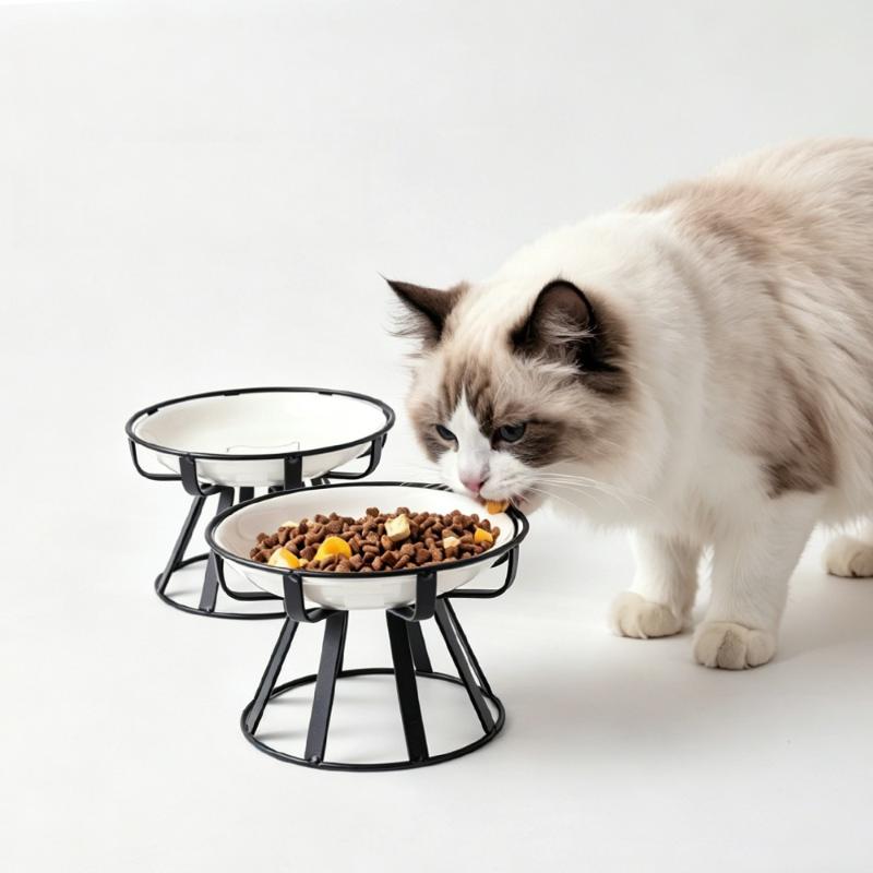 1/2 szt. Podwyższona ceramiczn – Food Snacks Drinks recenzja i cena